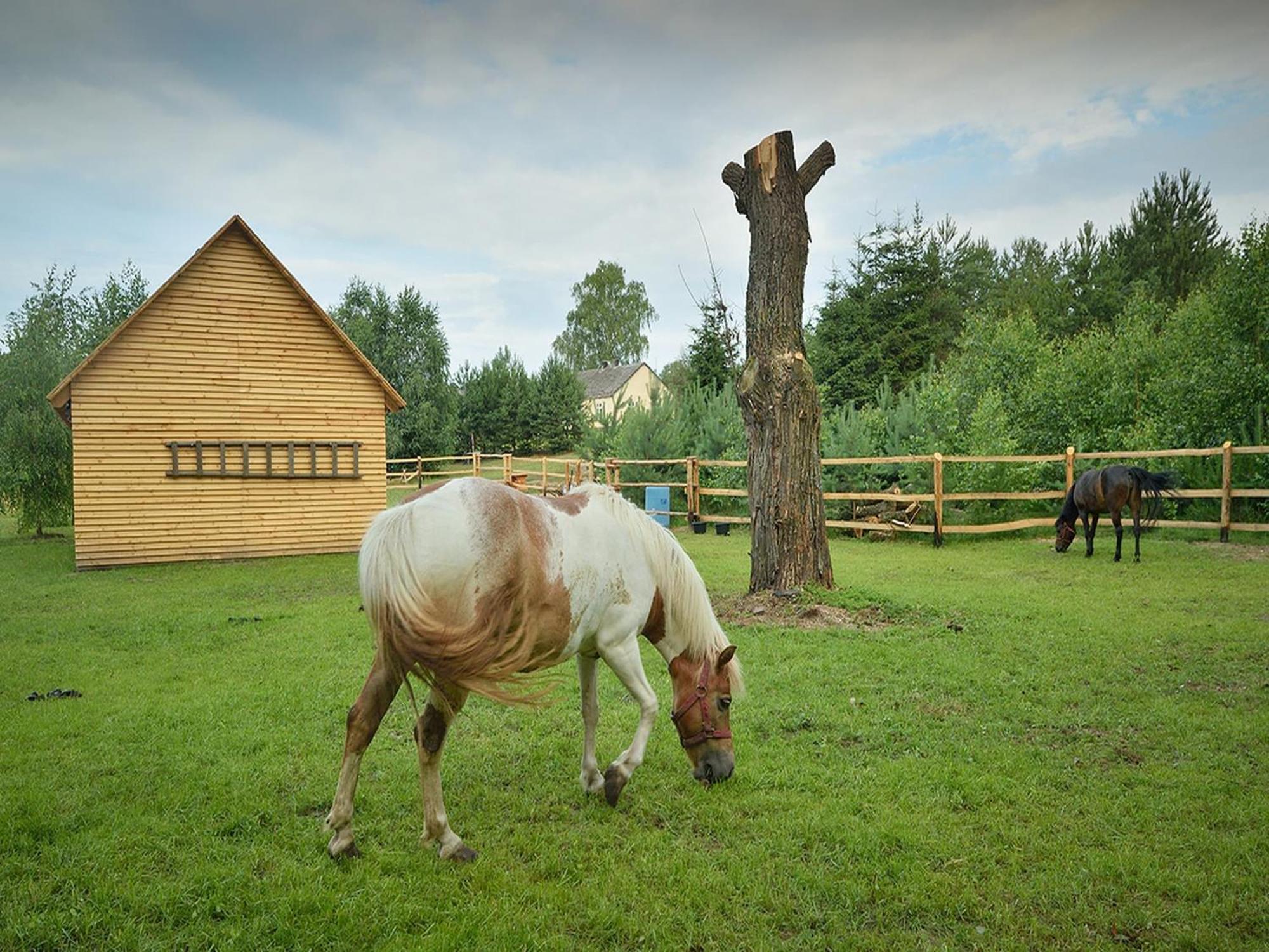 Wooden Holiday Home in Skrzynia with Terrace Osiek  Zewnętrze zdjęcie