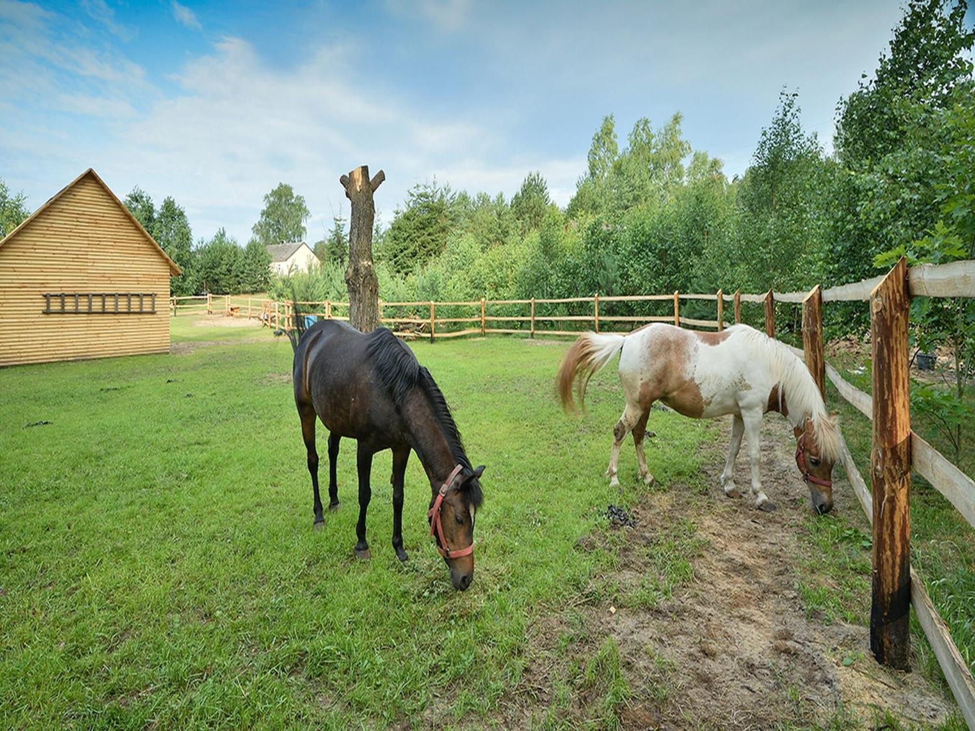 Wooden Holiday Home in Skrzynia with Terrace Osiek  Zewnętrze zdjęcie